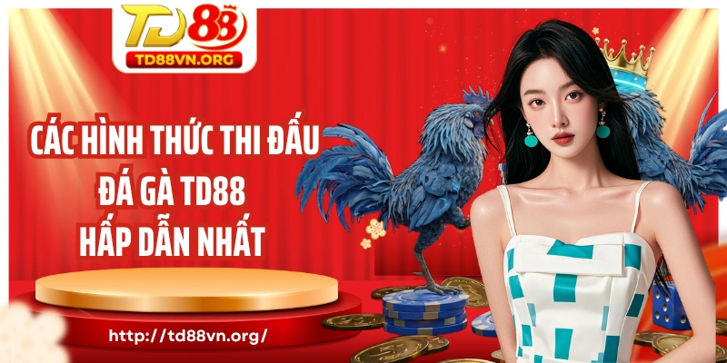 Các hình thức thi đấu đá gà TD88 hấp dẫn nhất hiện nay