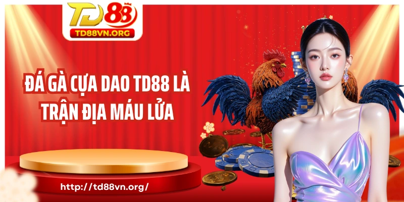 Đá gà cựa dao TD88 là trận địa máu lửa