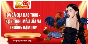 Đá gà cựa dao TD88