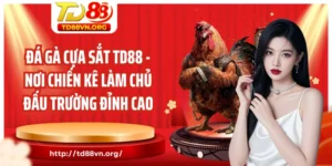 Đá gà cựa sắt TD88