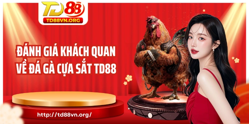 Đánh giá khách quan về đá gà cựa sắt TD88