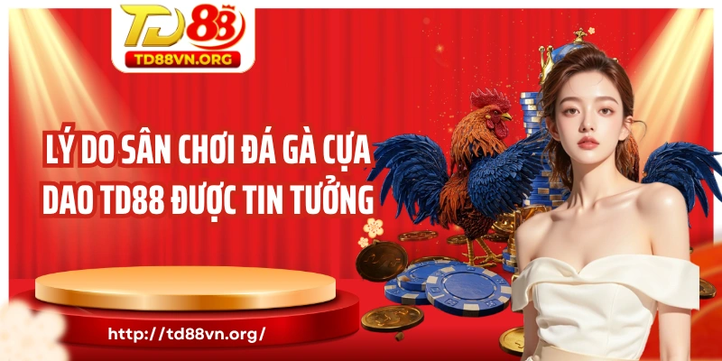 Lý do sân chơi đá gà cựa dao TD88 được tin tưởng
