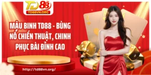 Mậu binh TD88