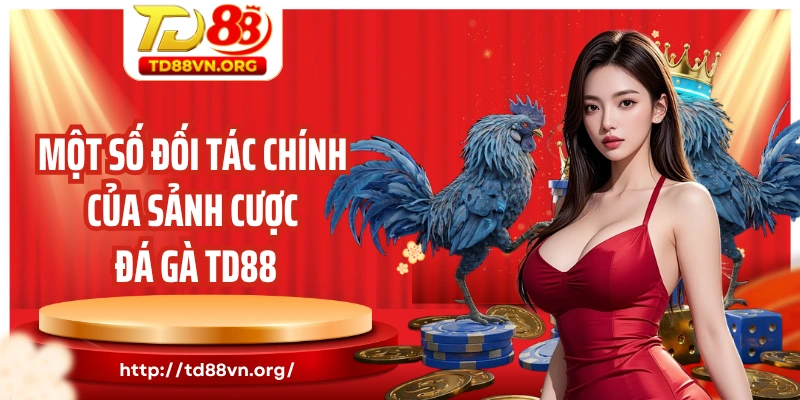 Một số đối tác chính của sảnh cược đá gà TD88